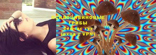 кокаин колумбия Белокуриха